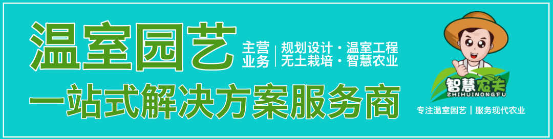 发展高科技温室大棚种植能赚钱吗？