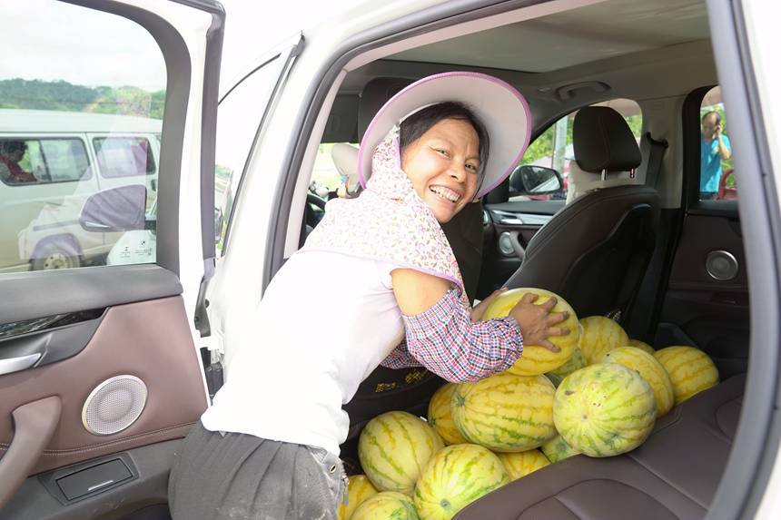 种植致富业_农民种植致富果_农民致富种植项目