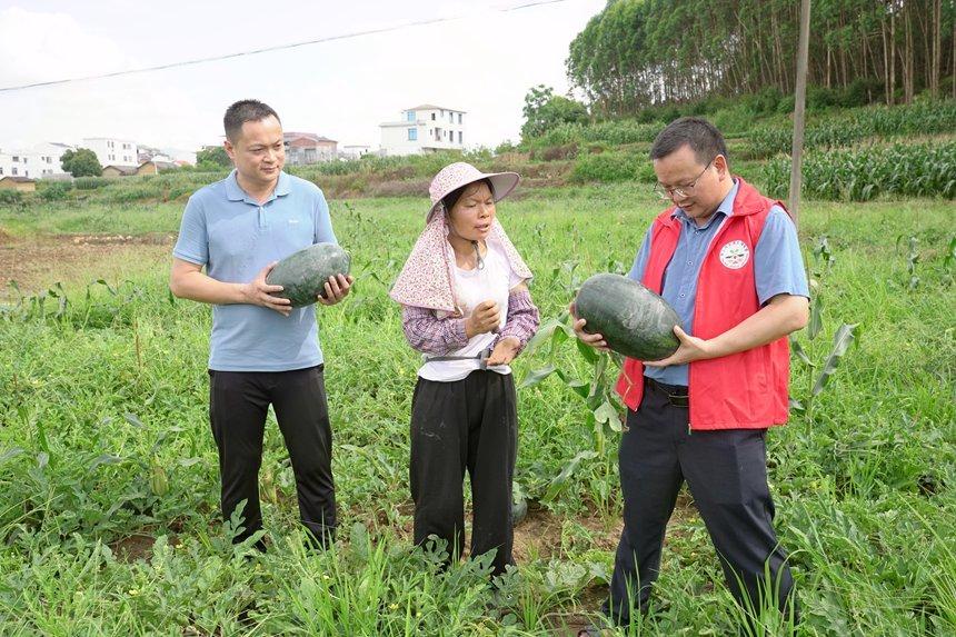 农民致富种植项目_种植致富业_农民种植致富果