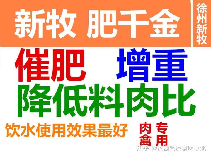 养殖白鸭子技术_鸭子的养殖技术和成本_鸭子养殖技术大全视频教程