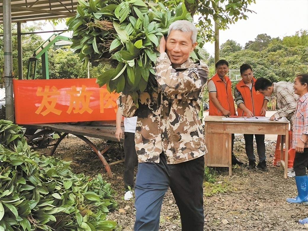 农民种植致富果_致富种植果农民视频_致富种植果农民图片