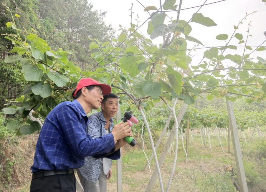 致富种植果农民怎么样_种植致富业_农民种植致富果