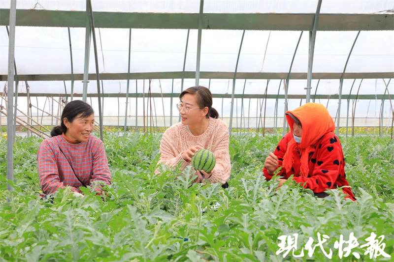 种植黑花生走上致富路_种植黑花生走上致富路_种植黑花生走上致富路