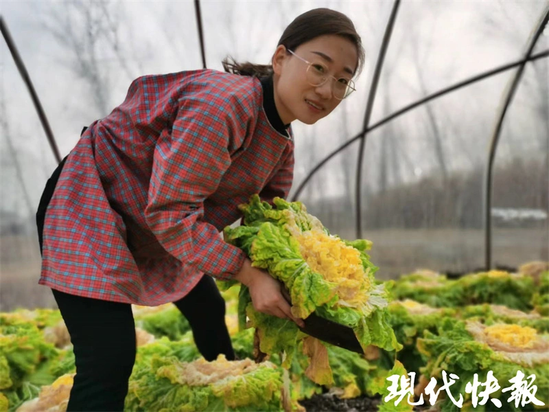 种植黑花生走上致富路_种植黑花生走上致富路_种植黑花生走上致富路