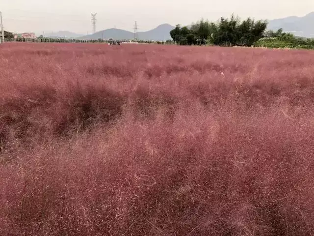 村庄规划的思路_优秀村庄规划案例_借鉴优质村庄规划经验分享