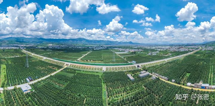 致富养殖旱鸭图片_养殖旱鸭致富_养殖旱鸭的前景