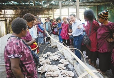 中国专家在多国建立培训示范中心