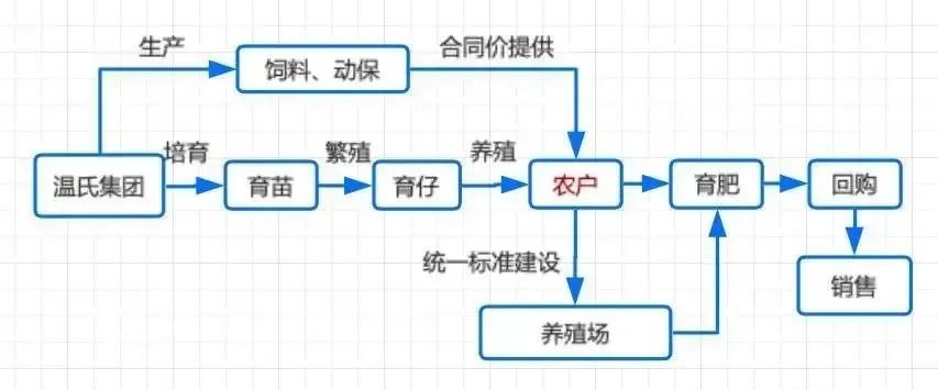 河南养殖致富_致富经河南养羊_河南养殖富豪