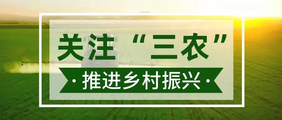 养梅花鹿致富经_致富经梅花鹿养殖视频_养殖梅花鹿真的赚钱吗