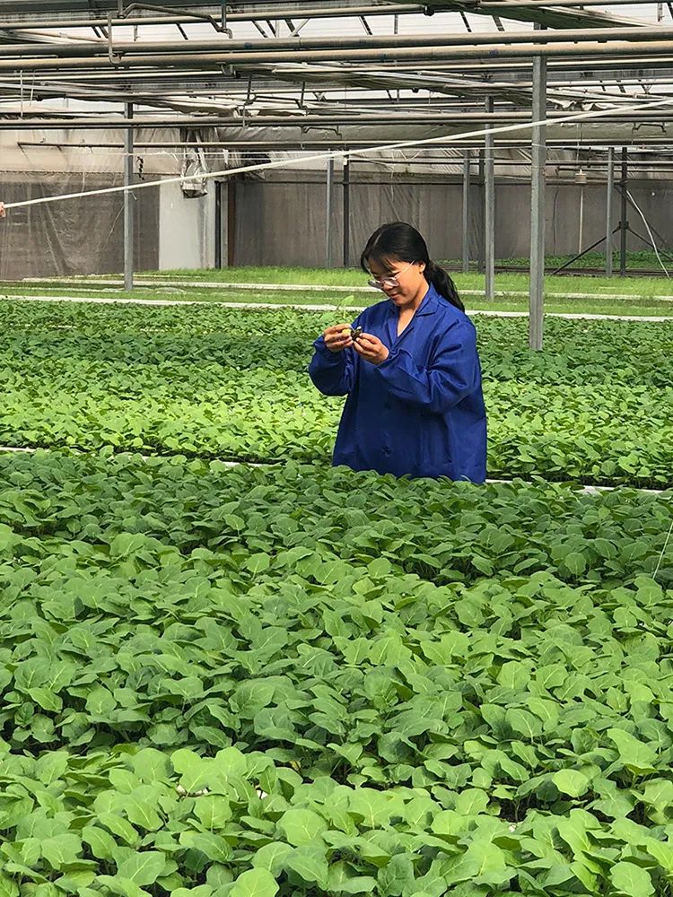 致富养殖案例女性怎么写_女性养殖致富案例_致富养殖好项目大全