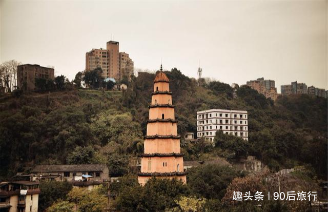 云南省致富经排名_云南致富项目_云南致富带头人