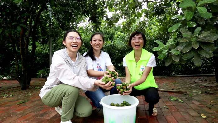 坚果种植技术视频_坚果种植视频讲解_坚果种植过程