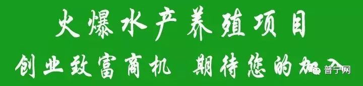 养殖致富的朋友_养殖致富的语句_致富养殖朋友圈文案