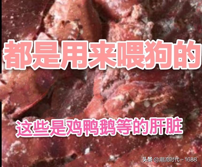 养殖肉狗技术指导视频_最好的肉狗养殖技术_养殖肉狗的技术