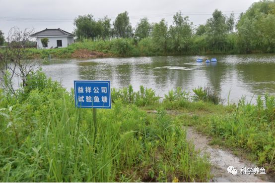 养殖鲈鱼怎么钓最佳_鲈鱼养殖技术视频_鳜鲈养殖技术