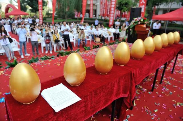 农村种植致富好项目视频_视频致富种植怎么赚钱_致富经种植视频