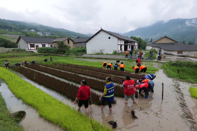 云南牛仔种植致富_云南牛仔种植致富_云南牛仔种植致富