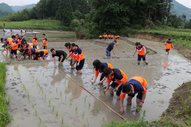 云南牛仔种植致富_云南牛仔种植致富_云南牛仔种植致富