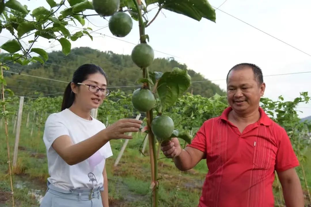 新闻致富种植种苗是骗局吗_新闻致富种植种苗是真的吗_种植种苗致富 新闻