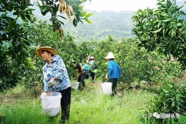 371种养致富经_致富经农业养殖视频_夏季养殖致富方法