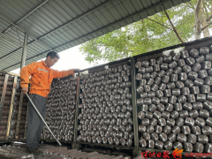 养殖灵芝怎么吃效果最好_致富经灵芝养鸡_灵芝养殖致富案例