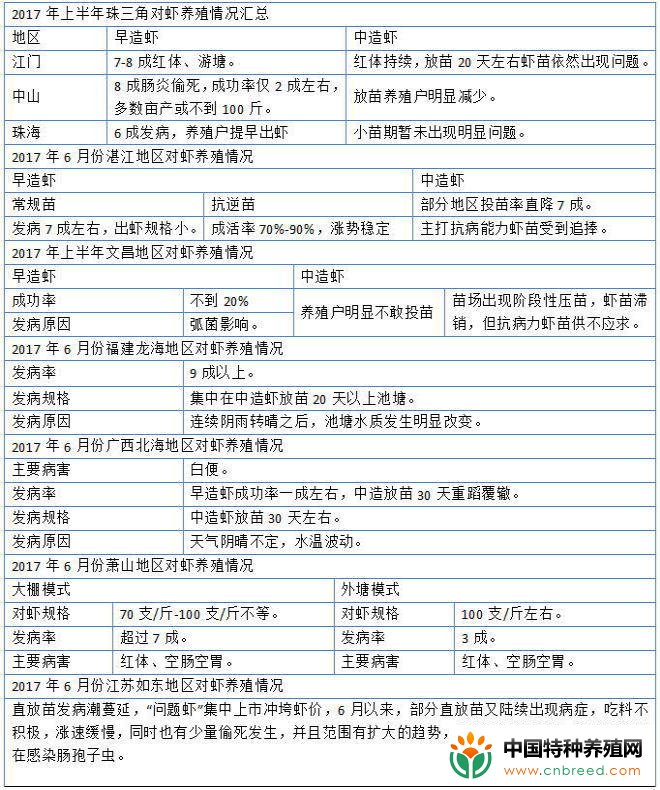 2020南美白对虾养殖最新方法