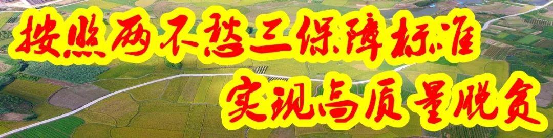 【脱贫摘帽】网红村的脱贫代表、拯救故乡的致富能人——龙革雄