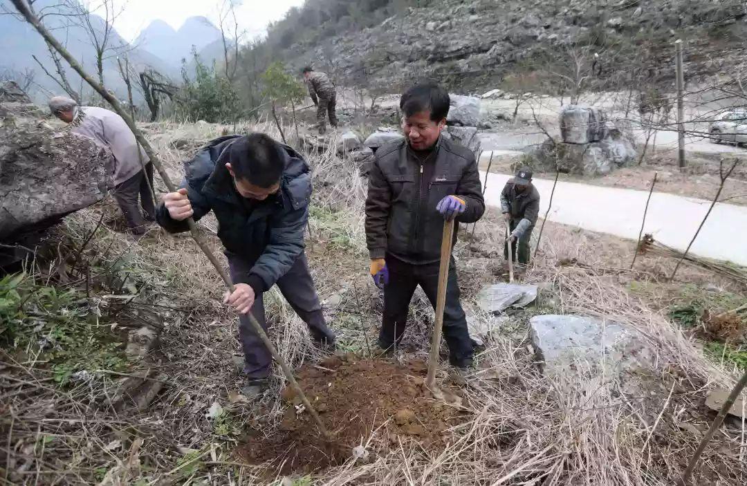 小庭院养殖致富案例_农村庭院养殖致富奇人_致富养殖视频