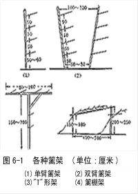 葡萄栽培技术——葡萄架式