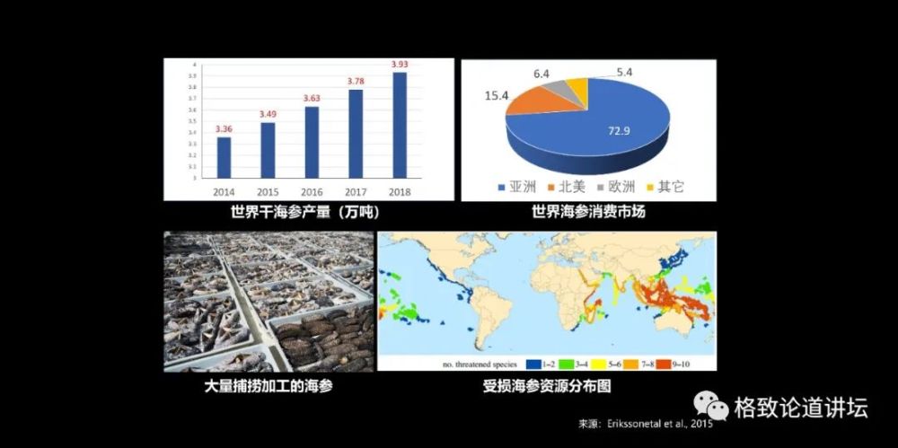 养虫技术视频_肉虫养殖技术_养虫养殖技术