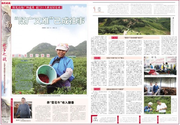 致富致富_致富经报道了靠一把草赚钱_致富一肖