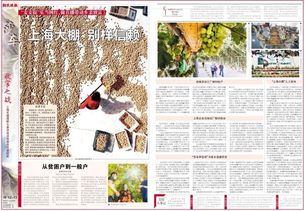 致富经报道了靠一把草赚钱_致富致富_致富一肖