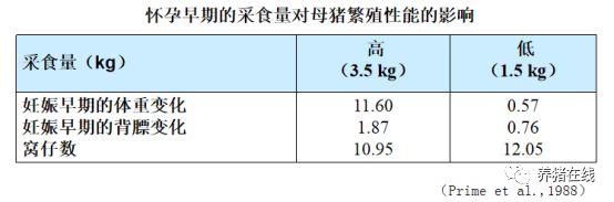 养殖母猪方法技术视频_母猪的养殖技术方法_养殖母猪方法技术大全