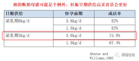 养殖母猪方法技术视频_养殖母猪方法技术大全_母猪的养殖技术方法