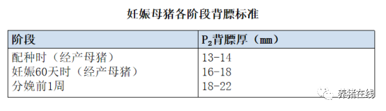 养殖母猪方法技术视频_母猪的养殖技术方法_养殖母猪方法技术大全