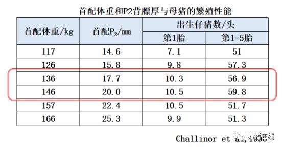 养殖母猪方法技术视频_母猪的养殖技术方法_养殖母猪方法技术大全