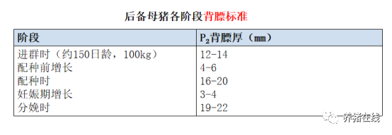 母猪的养殖技术方法_养殖母猪方法技术大全_养殖母猪方法技术视频