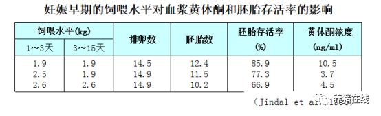 养殖母猪方法技术大全_母猪的养殖技术方法_养殖母猪方法技术视频