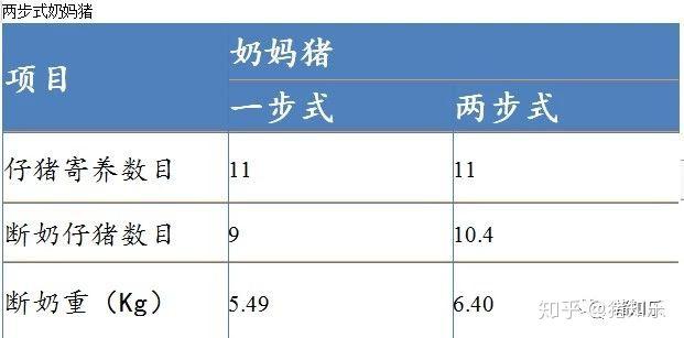 母猪的养殖技术方法_养殖母猪方法技术大全_养殖母猪的技术