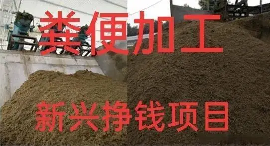 亳州致富案例_亳州种植什么_亳州种植致富项目