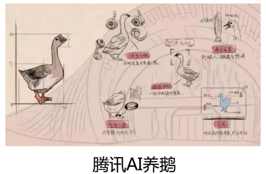 养殖技术视频教学_养殖视频大全技术_养殖业视频