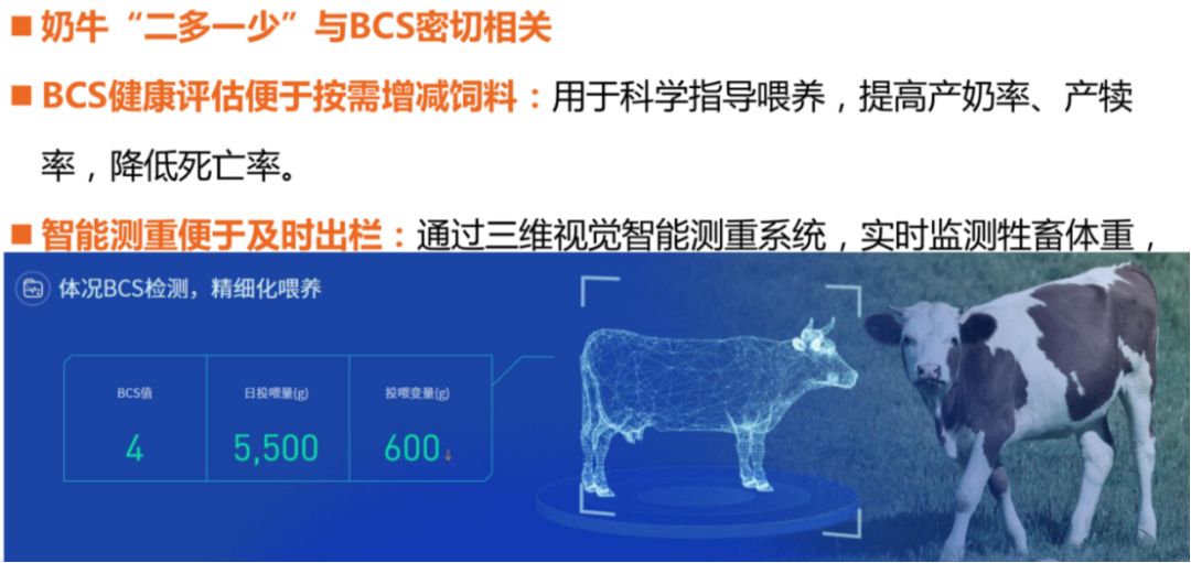 养殖技术视频教学_养殖业视频_养殖视频大全技术