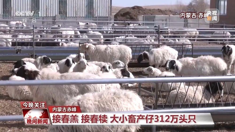 致富中国_关中致富经_致富俺们村