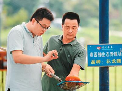 致富俺们村_关中致富经_致富中国