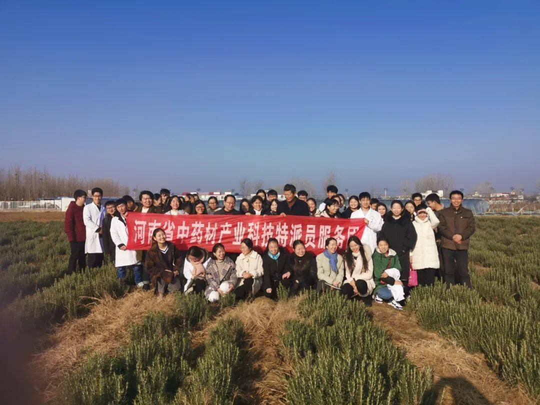 致富种植民间草药有哪些_民间草药种植致富_致富种植民间草药视频