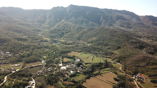 民间草药种植致富_致富种植民间草药有哪些_致富种植民间草药视频