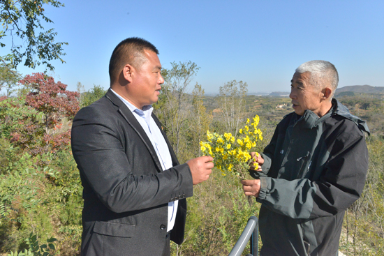 弘扬岐黄文化 助推乡村振兴 让村民走上种植中药材致富之路