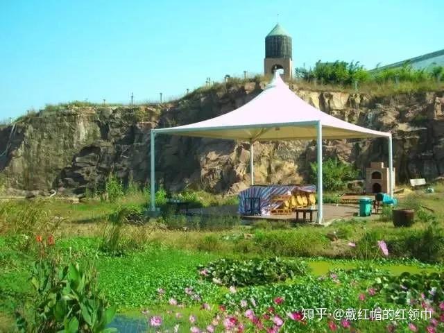 致富种植果林模式是什么_林果种植致富模式_种植果树致富