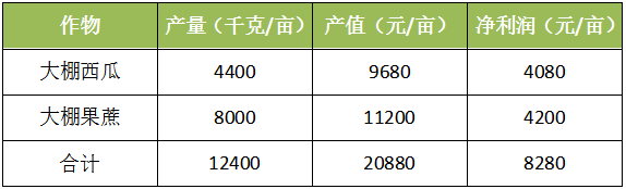 西瓜大棚栽培技术_大棚西瓜种植技术农广天地_西瓜大棚基地