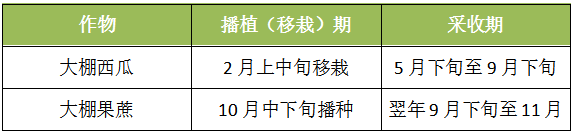 西瓜大棚基地_大棚西瓜种植技术农广天地_西瓜大棚栽培技术